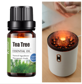 Pure Essential Oil 10ml Aroma Diffuser (Option: Tea tree-Set)
