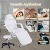 Massage Salon Tattoo Chair with Two Trays Esthetician Bed with Hydraulic Stool;  Multi-Purpose 3-Section Facial Bed Table;  Adjustable Beauty Barber S